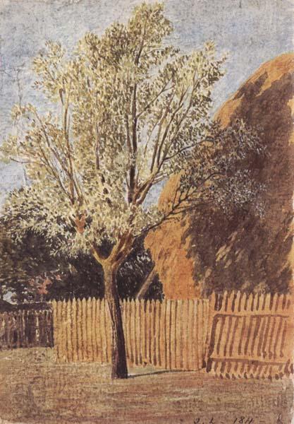 John linnell Study of a Tree Spain oil painting art